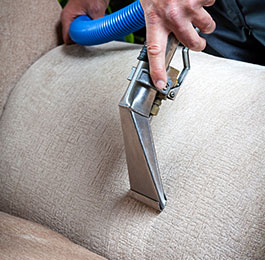 sofa cleaning